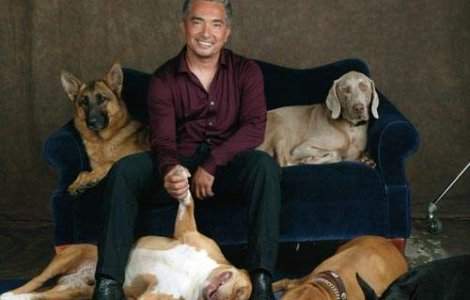 Cesar si banii: Cat va plati psihologul de caini pentru divortul sau?