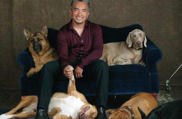 Cesar si banii: Cat va plati psihologul de caini pentru divortul sau?