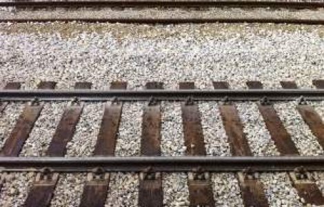 Cursele de tren inregistreaza intarzieri din cauza hotilor