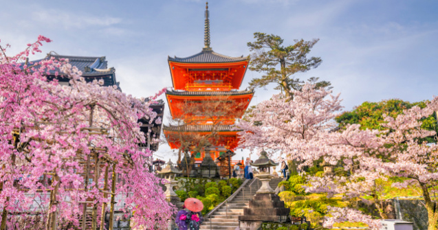  Top  Cum transforma primavara orasele din Japonia: 10+ imagini de poveste