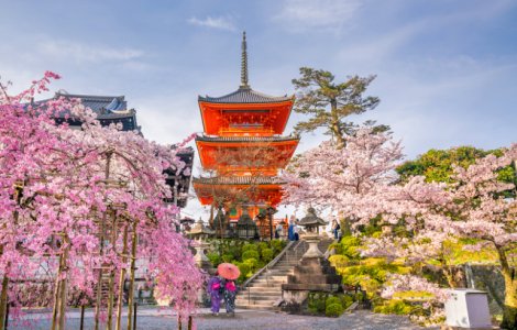  Top  Cum transforma primavara orasele din Japonia: 10+ imagini de poveste