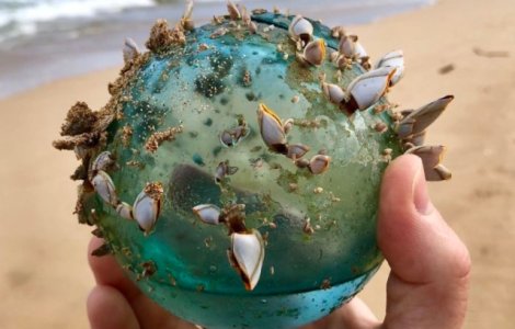  Top  "Comori" ascunse in nisip: 10+ produse impresionante gasite intamplator pe plaja