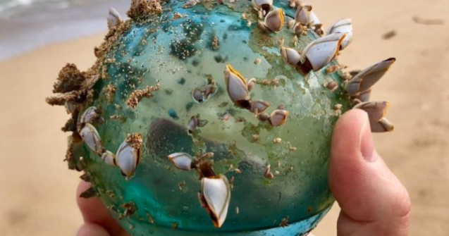  Top  "Comori" ascunse in nisip: 10+ produse impresionante gasite intamplator pe plaja