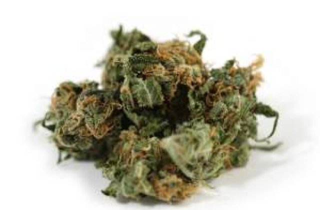 O substanta activa din marijuana ar putea fi folosita in tratarea tumorilor canceroase
