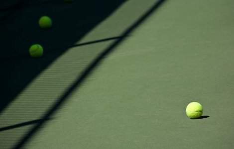 Niculescu se mentine pe locul 29 in clasamentul WTA