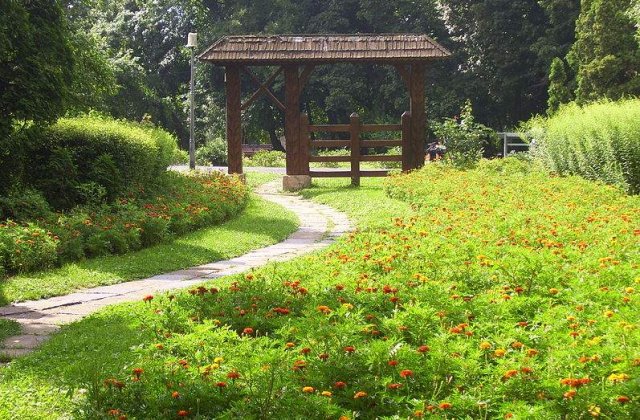 Tratamente impotriva capuselor in parcurile bucurestene