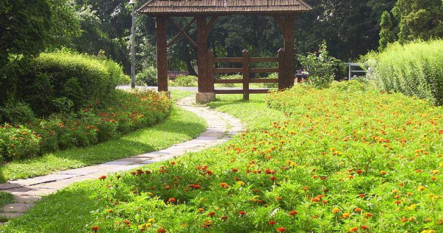 Tratamente impotriva capuselor in parcurile bucurestene