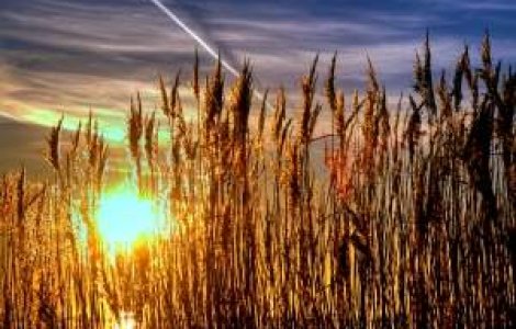 Polii Soarelui isi modifica pozitiile: Care sunt efectele asupra Pamantului?