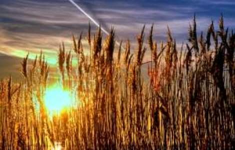 Polii Soarelui isi modifica pozitiile: Care sunt efectele asupra Pamantului?