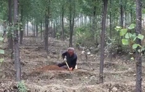 Un batran din China, cu ambele picioare amputate, a plantat singur peste 17.000 de copaci/ VIDEO