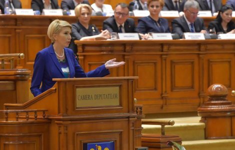 Turcan: Facem apel la CCR sa suspende procedura de judecata a cererii depuse de Florin Iordache