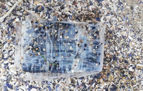 Autoritatile bulgare au gasit 150 de pachete cu droguri pe litoral