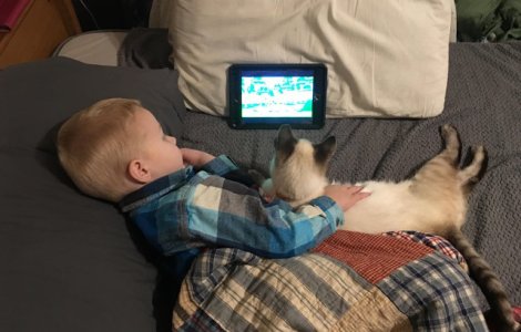  Top  10+ imagini emotionante care surprind relatia speciala dintre copii si animalele lor de companie