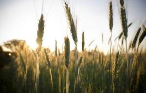 Vacanta fierbinte: 30 de grade de 1 Mai