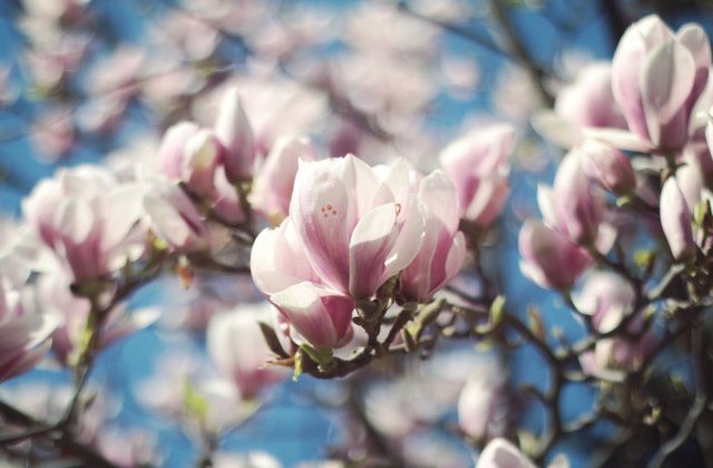 Prognoza meteo in urmatoarea luna. Cand se incalzeste vremea