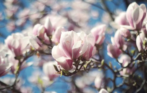 Prognoza meteo in urmatoarea luna. Cand se incalzeste vremea