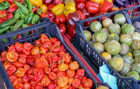 "Operatiunea Demetra": Sute de camioane incarcate cu fructe si legume asteapta zeci de ore angajatii ANAF, care nu fac fata