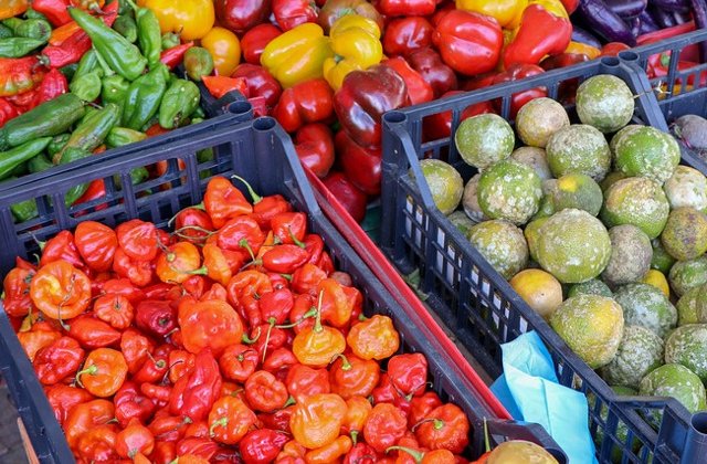 "Operatiunea Demetra": Sute de camioane incarcate cu fructe si legume asteapta zeci de ore angajatii ANAF, care nu fac fata