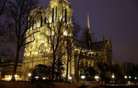 Macron, dupa incendiu: "Vom reconstrui Notre-Dame"