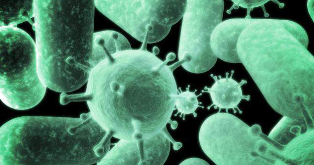 Doua noi cazuri de boala Lyme, confirmate clinic la Galati