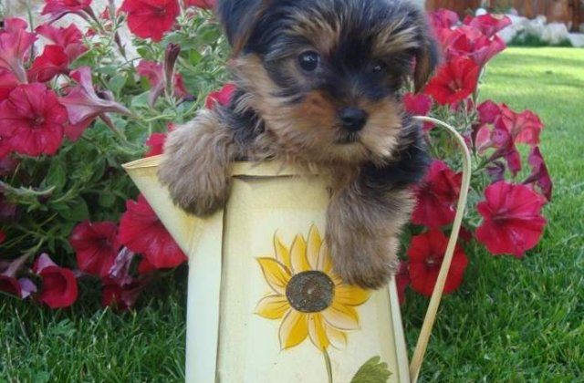 4 metode neasteptate de a scapa de depresie si tristete