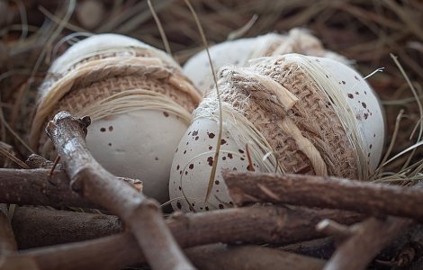 Cadouri de Paste care vor face din oricine chef in bucatarie