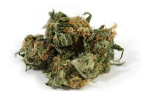 Incredibil: Un nigerian de 114 ani, prins cu 6,5 tone de marijuana!