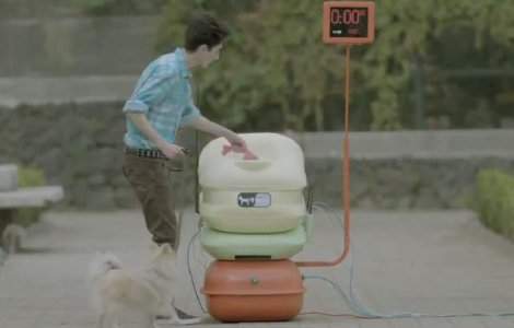 Internet in schimbul excrementelor de catei