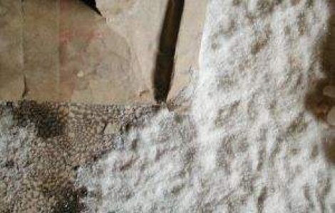 Un praf alb suspect a alertat autoritatile din New York