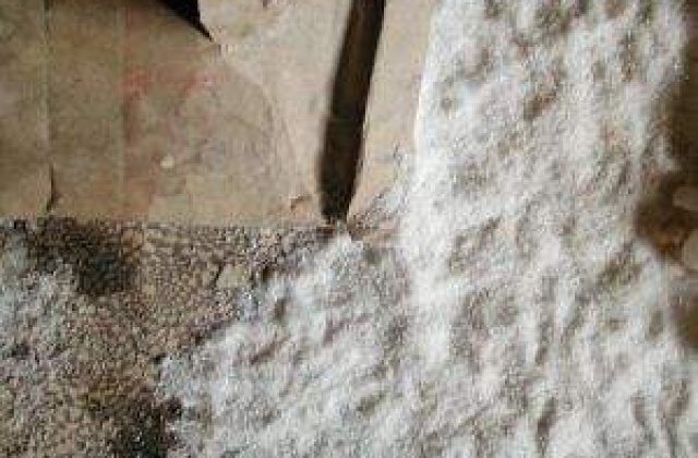 Un praf alb suspect a alertat autoritatile din New York