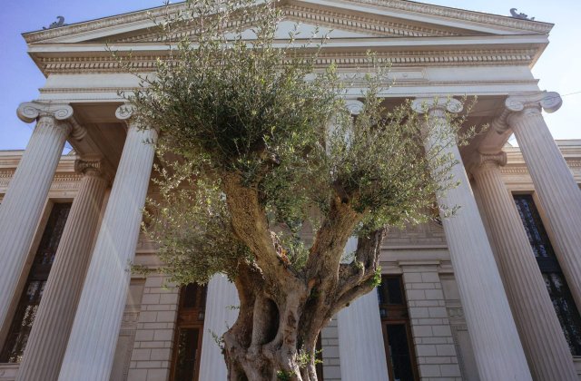 Corul National Madrigal a transformat Parcul Ateneului Roman intr-o replica a Gradinii Ghetsimani pentru Concertul extraordinar de Paste