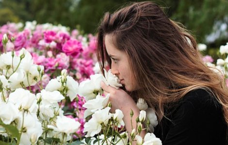 Mirosurile placute pot ajuta la renuntarea la fumat, arata un studiu