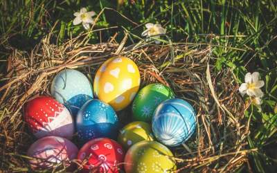 10 idei creative de pus in...