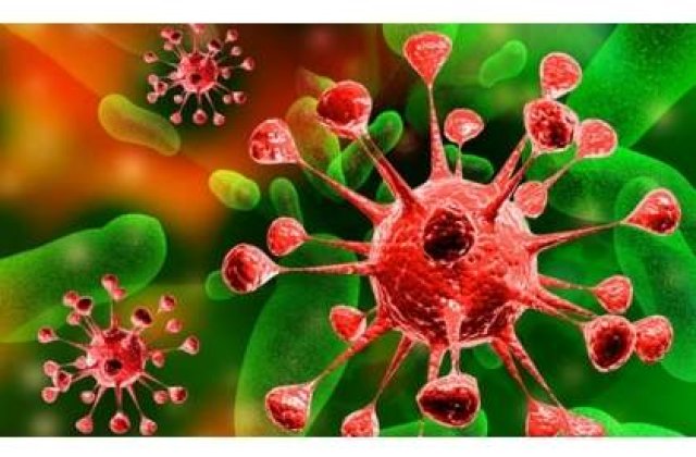 Prima banca de celule stem intr-un spital de stat