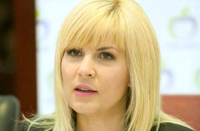 Elena Udrea: Statul paralel incearca sa-l scoata pe Liviu Dragnea din campania electorala