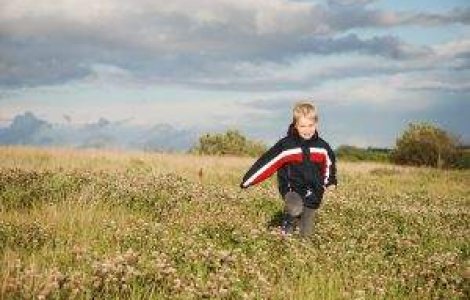 ISMB: Cursurile vor fi suspendate in 9 mai in toate scolile din Capitala