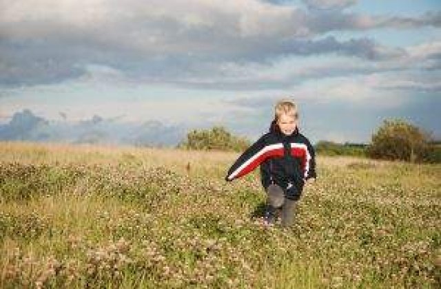 ISMB: Cursurile vor fi suspendate in 9 mai in toate scolile din Capitala