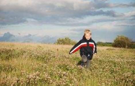 ISMB: Cursurile vor fi suspendate in 9 mai in toate scolile din Capitala