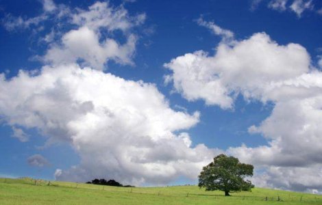 Cum va fi vremea la inceputul saptamanii?