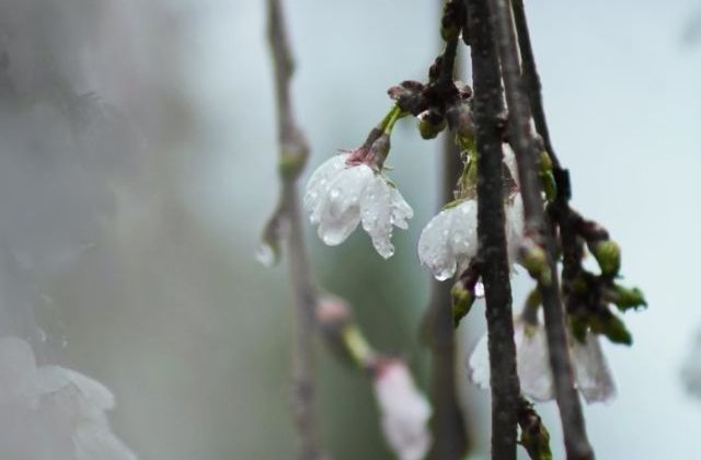 Vremea de Paste. Cod GALBEN de ploi si vijelii, in aproape toata tara