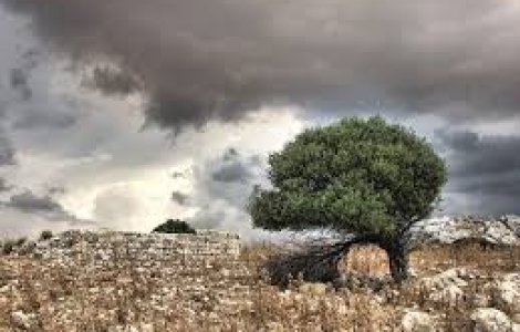 Vreme extrema in Europa: In Italia a nins, grindina in Grecia