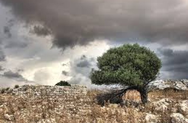 Vreme extrema in Europa: In Italia a nins, grindina in Grecia