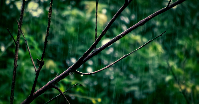 Temperaturi scazute in toata tara, in urmatoarele zile. Cum va fi vremea pe 1 mai