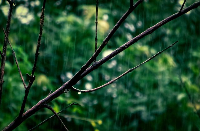 Temperaturi scazute in toata tara, in urmatoarele zile. Cum va fi vremea pe 1 mai