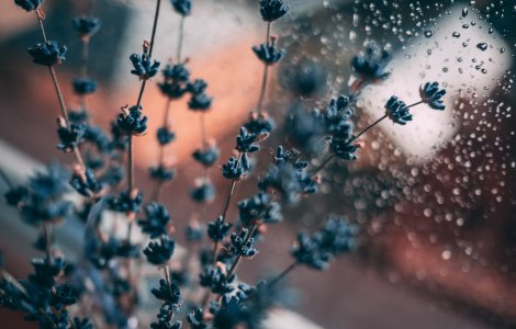 Vremea de 1 mai. Informare meteo de furtuni. Cod GALBEN de ploi