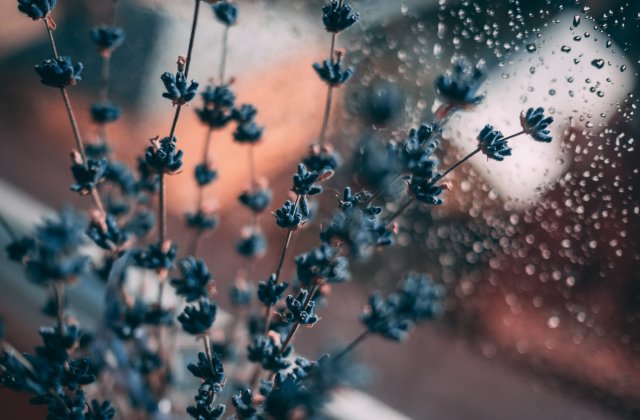 Vremea de 1 mai. Informare meteo de furtuni, pana miercuri seara. Cod GALBEN de ploi