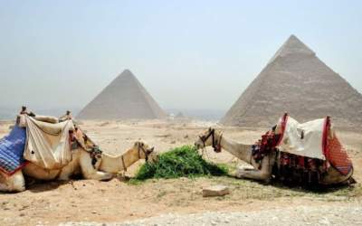 Activistii denunta relele...