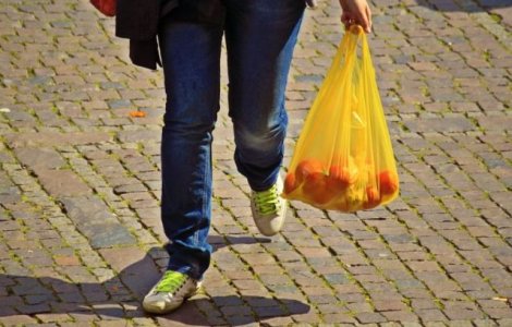 Studiu: Pungile biodegradabile pot ramane intacte chiar si la trei ani dupa ce au fost aruncate