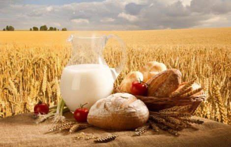 Institutul de Bioresurse Alimentare: Nereguli se gasesc mai ales la mezeluri si lactate