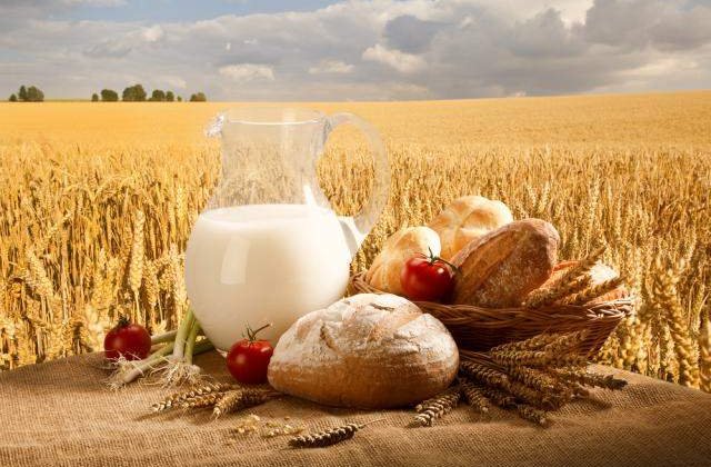 Institutul de Bioresurse Alimentare: Nereguli se gasesc mai ales la mezeluri si lactate